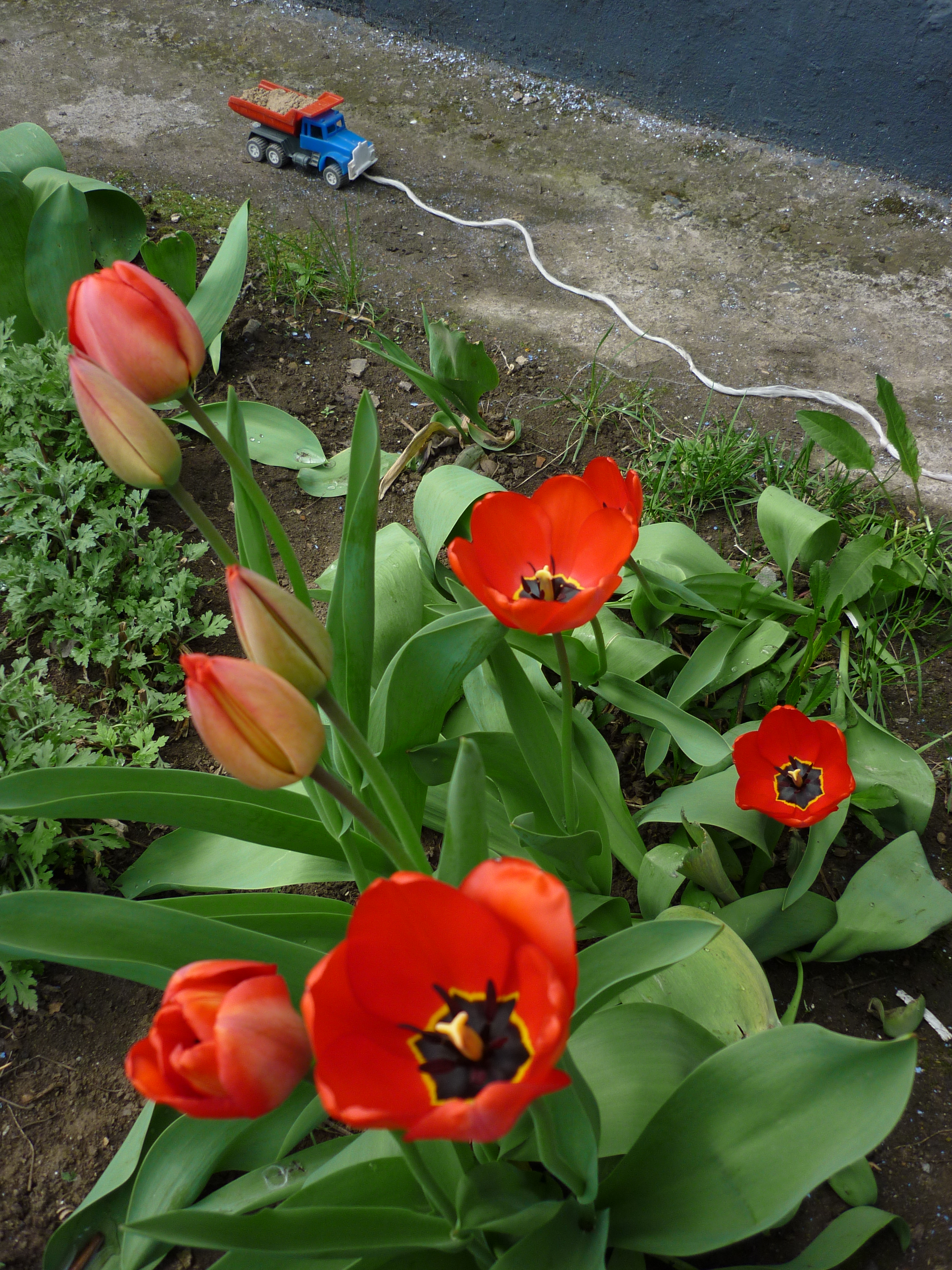 4-17-2010 4-55-43 PM_0046